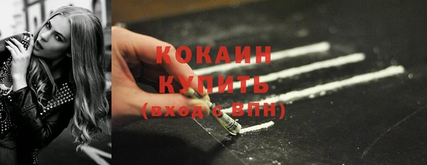 твердый Козельск