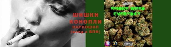СК Козловка