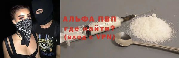 твердый Козельск