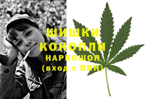 твердый Козельск