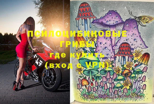прущие грибы Киренск