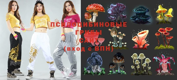СК Козловка