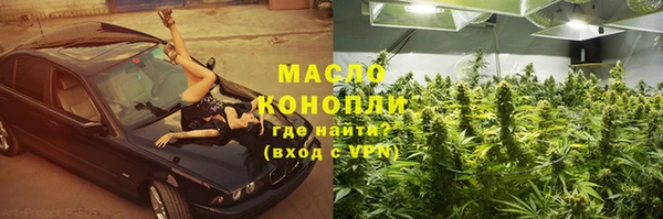 твердый Козельск