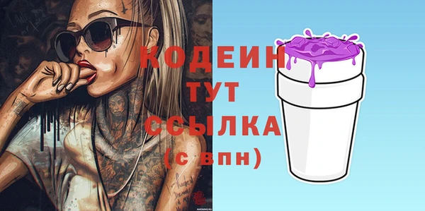 твердый Козельск