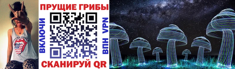 Галлюциногенные грибы Magic Shrooms  Артём 